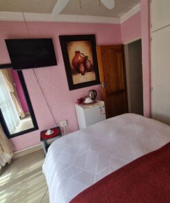 Pearl Standard Suite